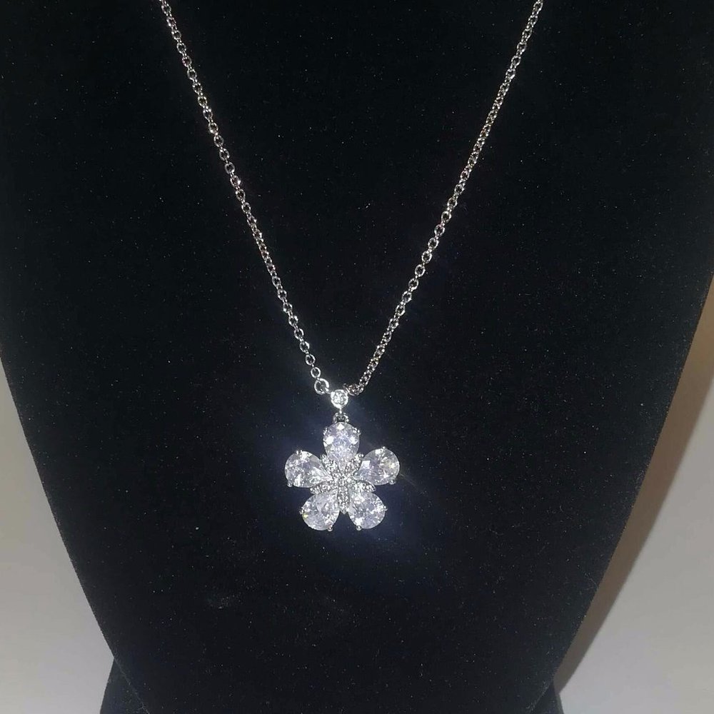 New Stunning Carolee Necklace